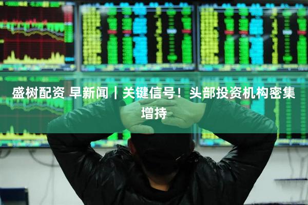 盛树配资 早新闻｜关键信号！头部投资机构密集增持