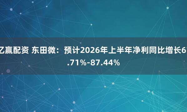 亿赢配资 东田微：预计2026年上半年净利同比增长67.71%-87.44%